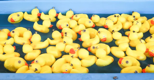 Wer angelt sich ein Entchen? | Foto: Cornelia Bauer