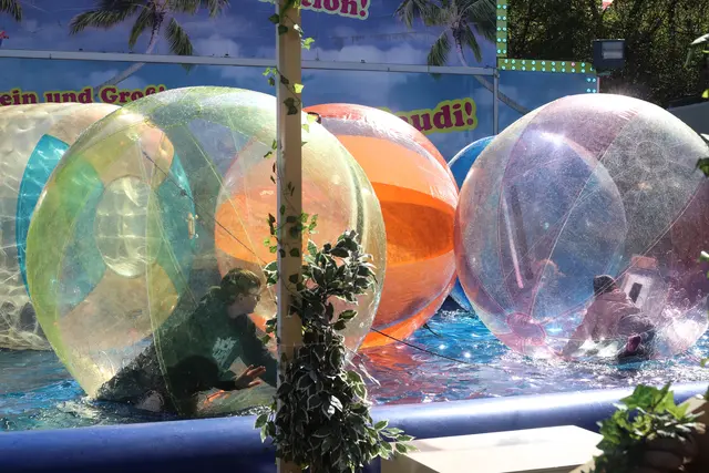 Wasch mich, aber mach mich nicht nass: Wasserball-Spaß in Speyer | Foto: Cornelia Bauer