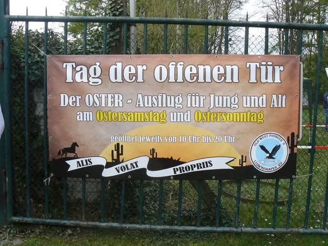 Foto: Gunter Bohrer