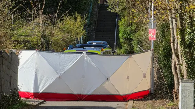 Ein 22-Jähriger ist in der Nacht bei dem Einsatz gestorben. | Foto: Kevin Schößler/dpa