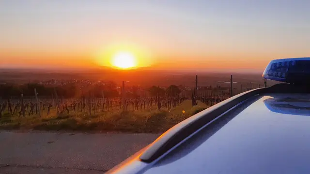 Unbekannte Täter haben über die Ostertage ein Kellerabteil ausgeräumt und Möbel sowie Elektrogeräte gestohlen. Die Polizei ermittelt und hofft auf Hinweise aus der Nachbarschaft. | Foto: Polizeidirektion Neustadt/Weinstraße