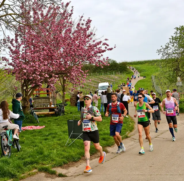 Auch in diesem Jahr wird beim Weinstraßenmarathon auf und neben der Strecke mächtig Betrieb sein.  | Foto: Kreisverwaltung 