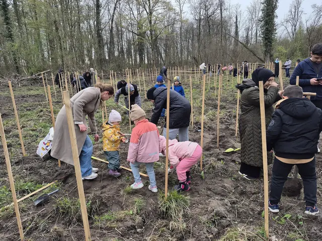 Bei der Aufforstung | Foto: W. Schmidhuber