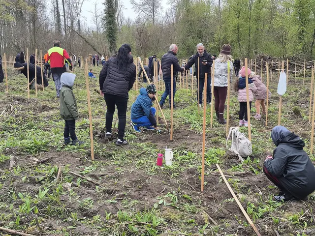 Bei der Aufforstung | Foto: W. Schmidhuber