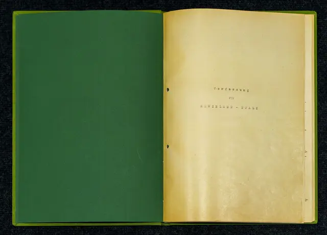 Änderung der Landesverfassung? Eine Reihe von Themen wird diskutiert.  | Foto: Andreas Arnold/dpa