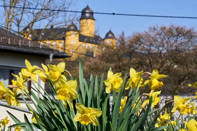 Überwiegend sonnige Tage stehen den Menschen in Rheinland-Pfalz und dem Saarland bevor. (Symbolbild) | Foto: Sascha Ditscher/dpa