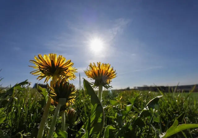 Gutes Wetter für die Osterferien. (Archivbild) | Foto: Thomas Warnack/dpa