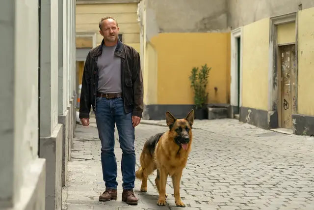 Kommissar Rex | Foto: SAT.1, Foto: SAT.1/ORF/Petro Domenigg