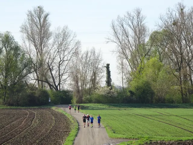 HM Rheingönheim-Läufer in Aulandschaft | Foto: HM Rheingönheim©Monika Birkholz_PWV Rheingönheim