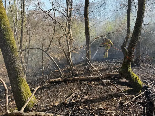 Hanglage und hoher Wasserbedarf machten den Einsatz im Kaiserslauterer Wald anspruchsvoll | Foto: Feuerwehr KL/gratis