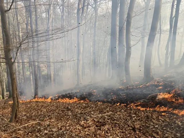 Foto: Feuerwehr KL/gratis