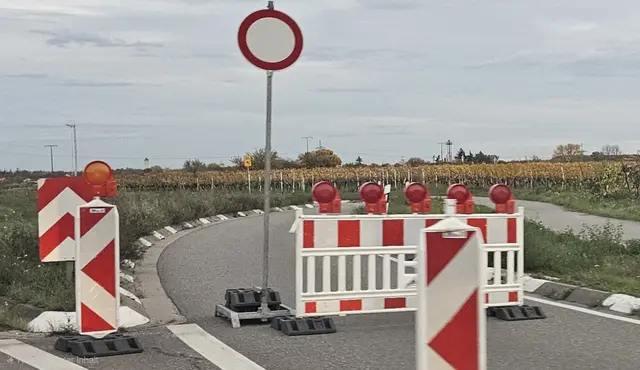 Neustadt an der Weinstraße: B39-Kreisel wird am 17. April freigegeben (Symbolfoto) | Foto: Eva Bender