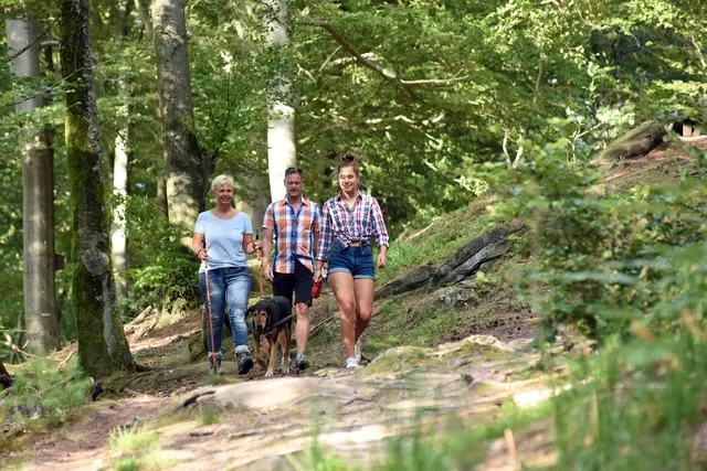 Foto: Photographie Sabine Hafner Fotostudio in Bruchmühlbach Saar-Pfalz Kreis;