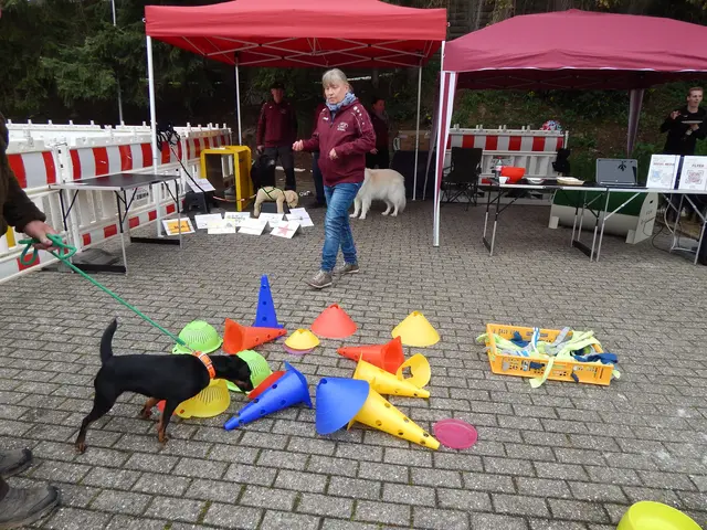 Ilva an der Schnüffelstation | Foto: Anja Stemler