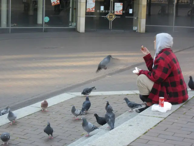 Ludwigshafen
Typisches Taubenfütterbild
Eine Frau, die am Rathauscenter Rast macht, angebettelt wird und dann von ihrem Brot abgibt. | Foto: Maiken Liefeith