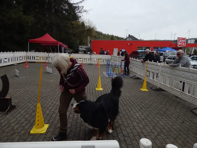 Auf dem Parkplatz von Zoo &amp; Co. wurde einiges für Vier- und Zweibeiner geboten | Foto: Anja Stemler