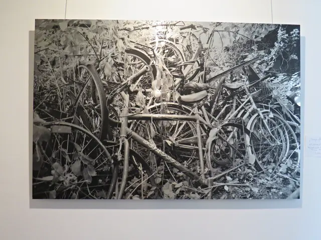 Foto: Brigitte Melder