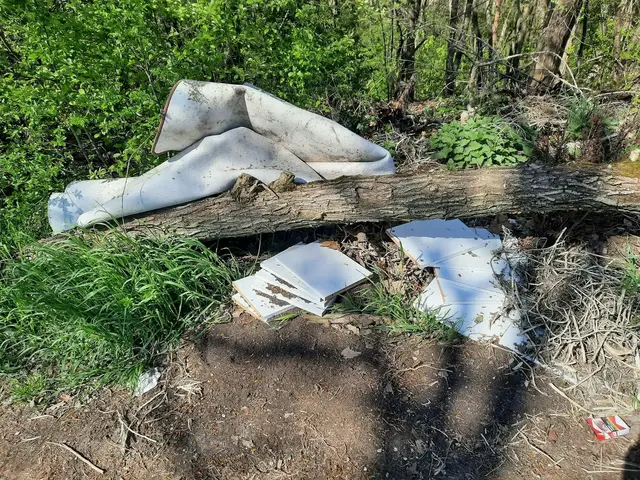 Unbekannte entsorgten nahe der K76 bei Grimburg Eternitplatten und Altreifen im Wald. Die Polizei ermittelt wegen eines Umweltdelikts und hofft auf Hinweise. | Foto: Kristin Hätterich