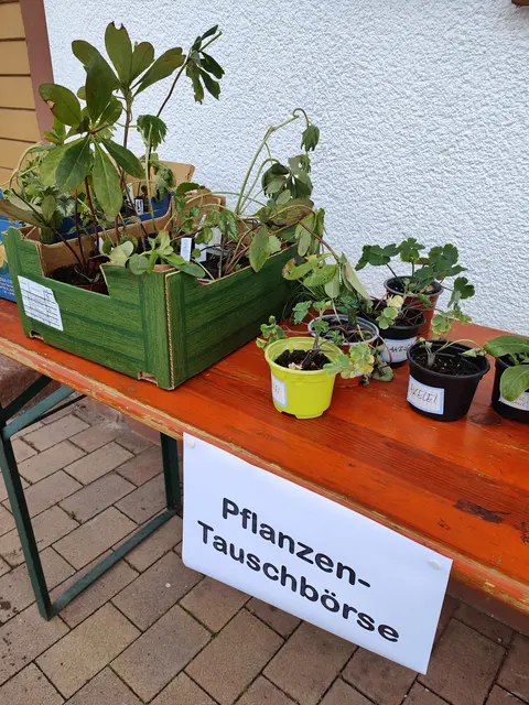 Frühlingsmarkt in Schifferstadt | Foto: Stadtverwaltung Schifferstadt