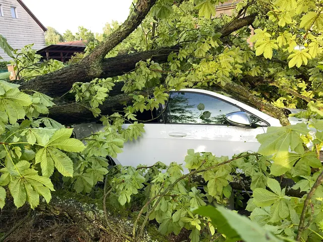 Die Versicherer zahlten rund 3 Millionen Euro für Auto-Unwetterschäden im Saarland – ein deutlicher Rückgang im Vergleich zu 2024. (Archivbild) | Foto: Jens Dudziak/dpa