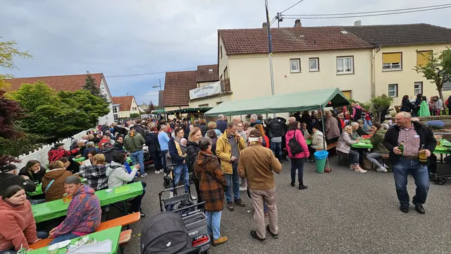 Besucher genießen Wein, Musik und das vielfältige Programm der Froschkerwe. | Foto: Eva Bender