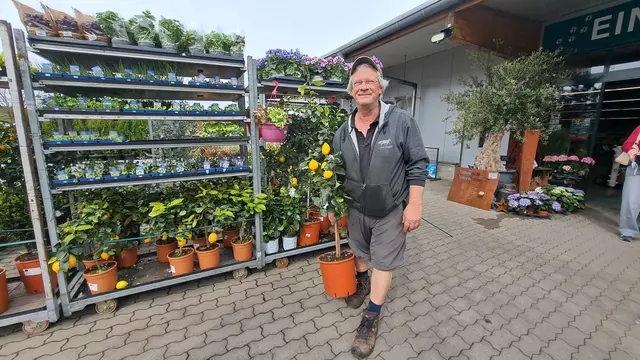 Kompetente Fachberatung gibt es obenauf: Mitarbeiter Martin Espen ist ausgebildeter Landschaftsgärtner | Foto: Monika Klein