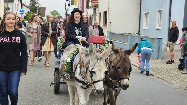 Der Kerweumzug am Freitag, 24. April 2026, bildet den Auftakt der Festtage. | Foto: Eva Bender
