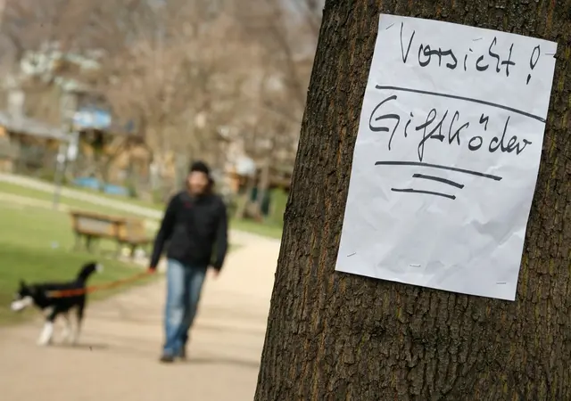 Zwei Hunde sind nach dem Verzehr von vergifteter Wurst bei Bretzfeld gestorben. (Symbolbild) | Foto: Florian Schuh/dpa