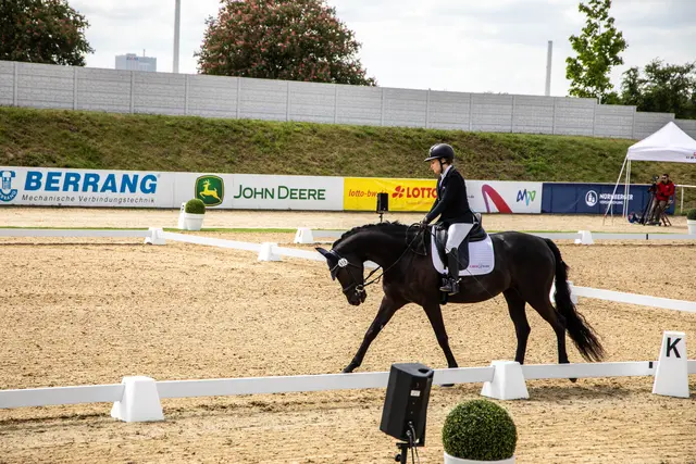 Para-Dressur  | Foto: Wolfgang Neuberth