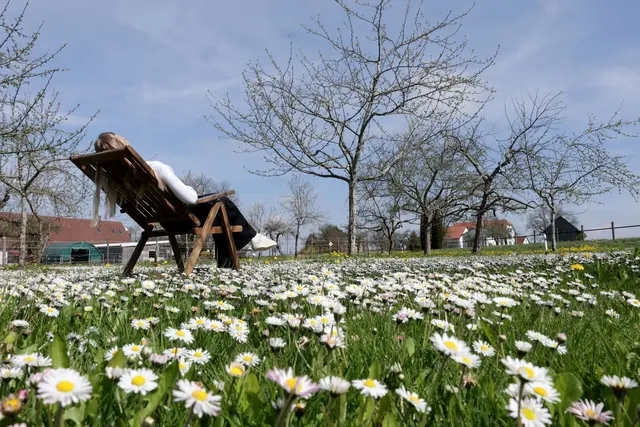 In Baden-Württemberg steigen die Temperaturen von Tag zu Tag. (Archivbild) | Foto: Thomas Warnack/dpa