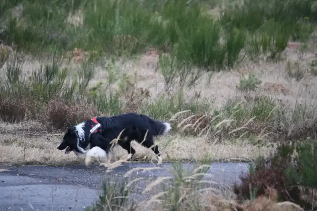 Die Polizei sucht mit einer Öffentlichkeitsfahndung nach einem 52-jährigen Mann. Er wird seit Dienstag vermisst und könnte sich in einer hilflosen Lage befinden. | Foto: Feuerwehr Frankenthal