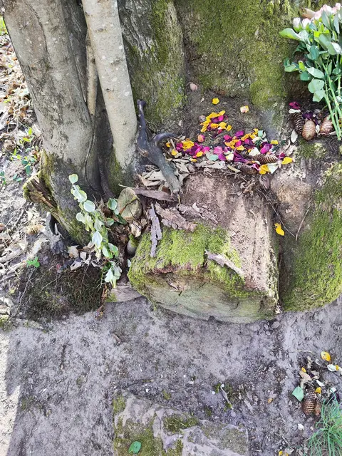 Unbekannte haben auf dem Gelände der Trifelsruhe eine Sitzbank an Urnengräbern zerstört. Die Polizei ermittelt wegen Störung der Totenruhe und bittet um Hinweise. | Foto: Polizeidirektion Landau