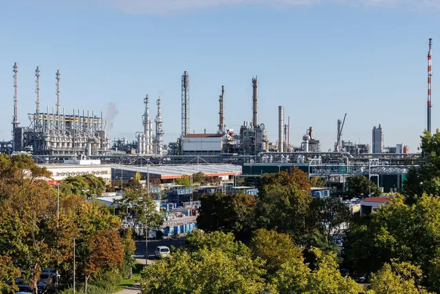 Ludwigshafen ist für viele ein Mix aus Industrie und Natur. (Symbolbild) | Foto: Lando Hass/dpa