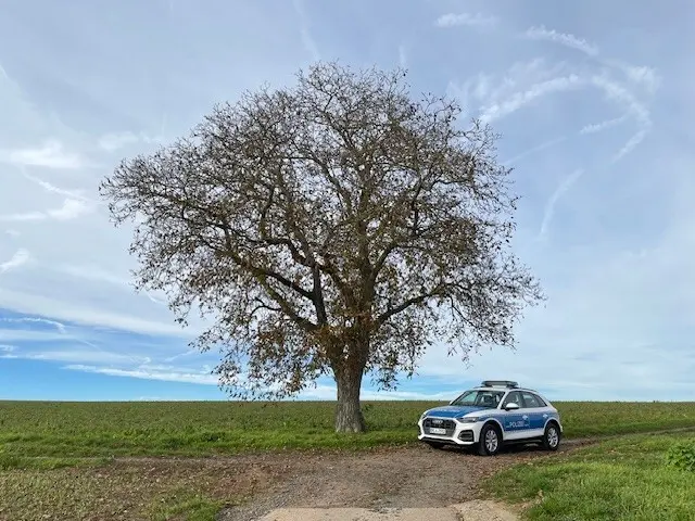 Unbekannte versuchten in Ebertsheim, über ein Fenster in ein Wohnhaus einzubrechen. Die Polizei ermittelt und sucht Zeugen. | Foto: Polizeidirektion Neustadt/Weinstraße
