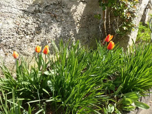 Foto: Heinrich Schneider