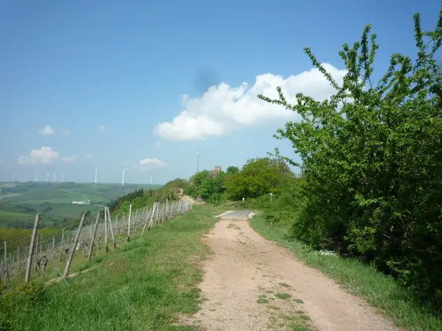 Im Hintergrund Moschellandsburg | Foto: Heinrich Schneider