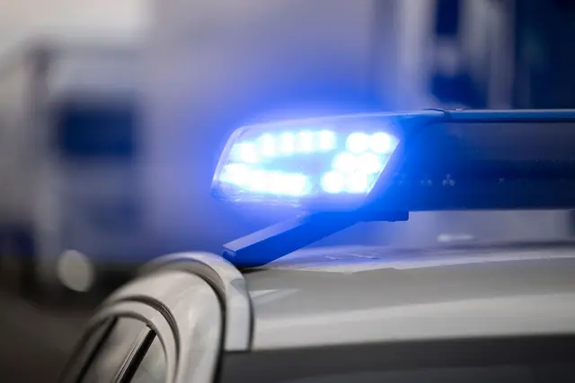 Die Polizei hat die Spinne unbeschadet nach draußen gebracht. (Symbolbild) | Foto: Marijan Murat/dpa