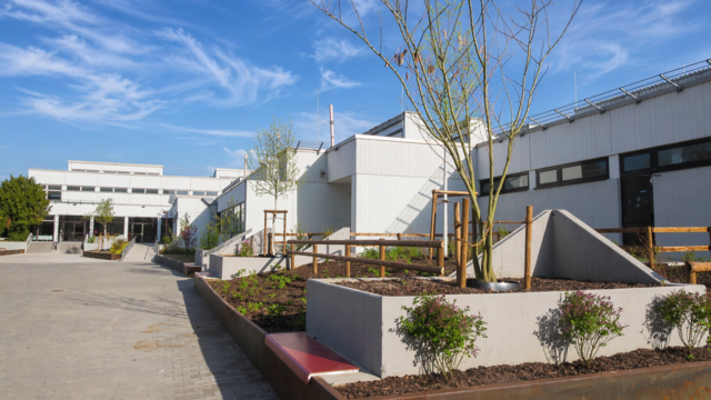 Noch sind die Bäume jung. Sie werden bald in die Höhe wachsen und den Beton verschatten, damit sich das Gebäude aus den 70ern zur Südseite nicht mehr so aufheizt. | Foto: Julia Glöckner