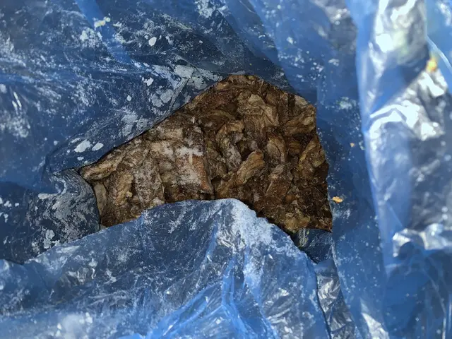 Offen, im Müllsack aufbewahrtes Fleisch in einer TK-Zelle. | Foto: Landratsamt Rhein-Neckar-Kreis