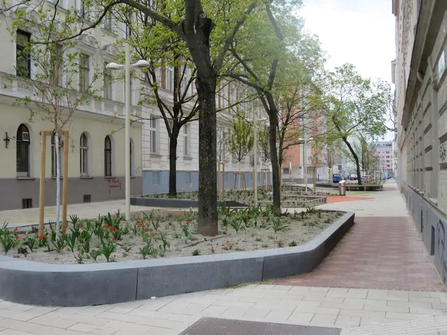 Verkehrsberuhigte Straße in Wien im Superblock, Quartier Favoriten | Foto: Julia Glöckner