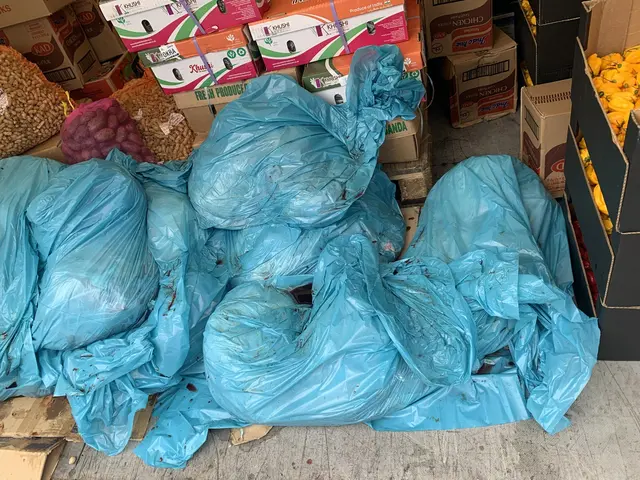 Transport von Lebensmittel zusammen mit Fleischabschnitten als Hundefutter für den privaten Gebrauch. | Foto: Landratsamt Rhein-Neckar-Kreis