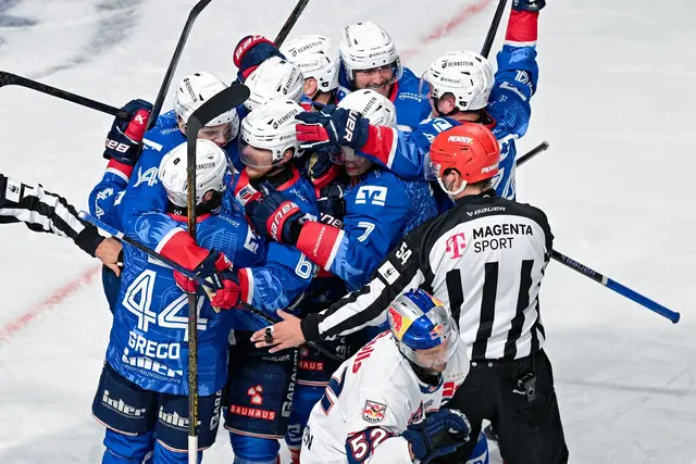 Nach 2019 mal wieder im Finale: die Adler Mannheim. (Archivbild) | Foto: Uwe Anspach/dpa