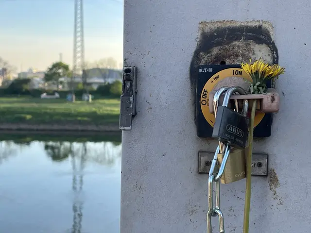 Der am Schalter platzierte Löwenzahn sollte nach Angaben der Aktivistengruppe symbolisch für die Natur stehen. | Foto: End Cement