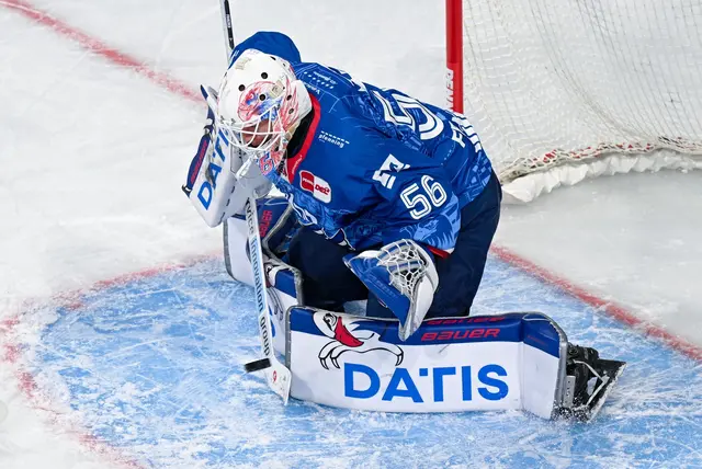 Die Adler um Torwart Maximilian Franzreb stehen im DEL-Finale. (Archivbild) | Foto: Uwe Anspach/dpa