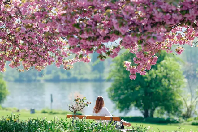Wer Sonne tanken will, sollte schnell raus. (Archivbild) | Foto: Uwe Anspach/dpa