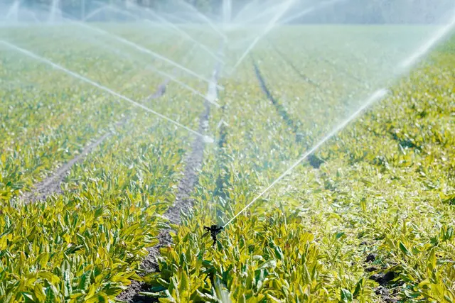 Seit Anfang 2024 muss auch die Landwirtschaft zahlen, wenn sie bestimmte Mengen an Grund- oder Oberflächenwasser entnimmt. (Archivbild) | Foto: Uwe Anspach/dpa