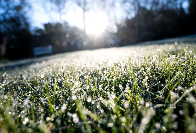 Nach einem sonnigen und warmen Samstag ändert sich das Wetter. Örtlich ist in den kommenden Nächten sogar Bodenfrost möglich. (Symbolbild) | Foto: Daniel Bockwoldt/dpa