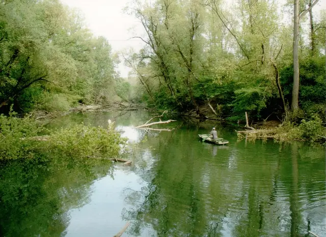 Fahrradtour durch den Auwald „Goldgrund” (Minthe) | Foto: Heimatverein Fokus/Eck