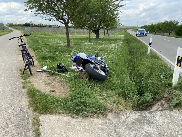 Auf der L454 bei Laumersheim stießen ein Motorrad und ein Pedelec zusammen. Zwei Männer wurden verletzt, ein Transporterfahrer fuhr weiter. | Foto: Polizeidirektion Neustadt/Weinstraße