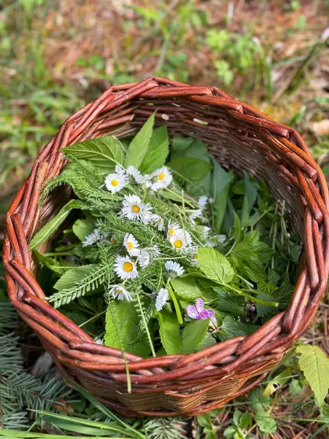 Kräuterkorb | Foto: Peter Kneller